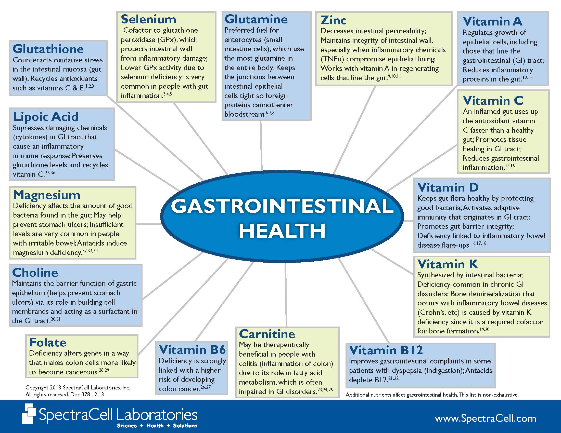 gastrointestinal-healthwheel1213-copy