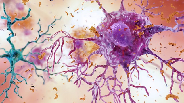 Our Health Depends on the Health of Our Cells